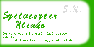 szilveszter mlinko business card